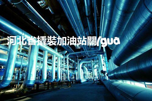 河北省撬裝加油站關(guān)鍵技術(shù)突破！化工廠拆除工程的新方法探索？